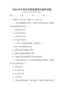 2025年中學化學實驗原理與操作試題