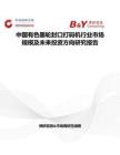 中国有色墨轮封口打码机行业市场规模及未来投资方向研究报告