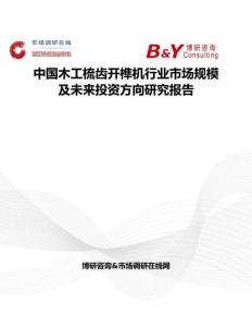 中國木工梳齒開榫機行業市場規模及未來投資方向研究報告