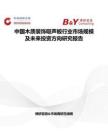 中国木质装饰吸声板行业市场规模及未来投资方向研究报告