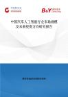 中國汽車人工智能行業市場規模及未來投資方向研究報告