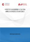 中國汽車儀表盤攝像頭行業市場規模及未來投資方向研究報告