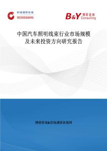 中國汽車照明線束行業(yè)市場規(guī)模及未來投資方向研究報告