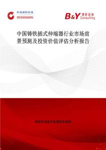 中國鑄鐵插式伸縮器行業(yè)市場前景預(yù)測及投資價值評估分析報告