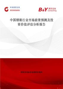 中國鎖眼行業市場前景預測及投資價值評估分析報告