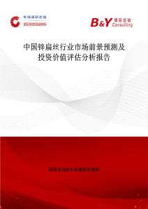 中國鋅扁絲行業市場前景預測及投資價值評估分析報告
