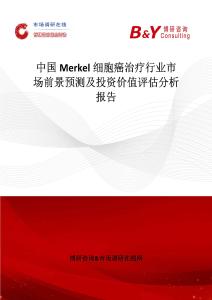 中國Merkel細胞癌治療行業市場前景預測及投資價值評估分析報告