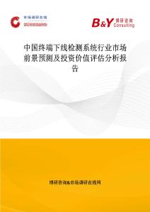 中國終端下線檢測系統行業市場前景預測及投資價值評估分析報告