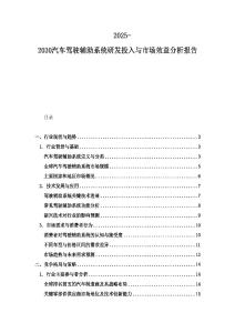 2025-2030汽车驾驶辅助系统研发投入与市场效益分析报告