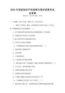 2025年国家知识产权战略与保护政策考试及答案