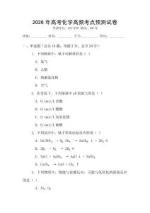 2026年高考化學高頻考點預測試卷