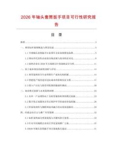 2026年軸頭套筒扳手項目可行性研究報告