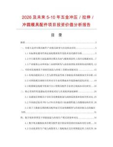 2026及未來(lái)5-10年五金沖壓／拉伸／沖裁模具配件項(xiàng)目投資價(jià)值分析報(bào)告