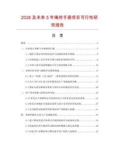2026及未來5年繩拎手袋項目可行性研究報告