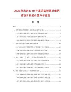 2026及未來5-10年高系數碳素纖維網拍項目投資價值分析報告