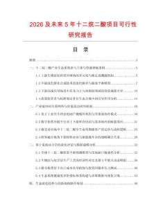 2026及未来5年十二烷二酸项目可行性研究报告