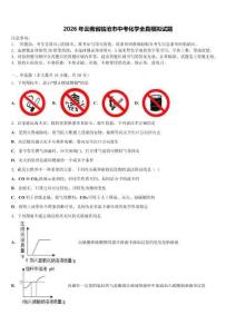 2026年云南省临沧市中考化学全真模拟试题（含答案解析）