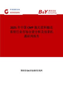 2025年中國CMP拋光漿料輸送系統行業市場全景分析及前景機遇研判報告