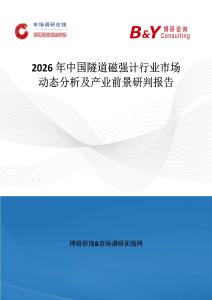 2026年中國隧道磁強計行業市場動態分析及產業前景研判報告