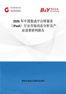 2026年中國集成平臺即服務（iPaaS）行業市場動態分析及產業前景研判報告