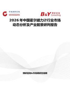 2026年中國霍爾磁力計(jì)行業(yè)市場動(dòng)態(tài)分析及產(chǎn)業(yè)前景研判報(bào)告