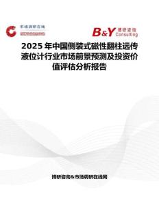 2025年中國側裝式磁性翻柱遠傳液位計行業市場前景預測及投資價值評估分析報告