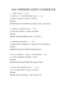2026年数据挖掘与机器学习实战演练试卷