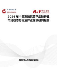2026年中國高端芭蕾平底鞋行業(yè)市場動態(tài)分析及產(chǎn)業(yè)前景研判報告