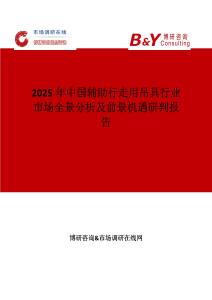 2025年中國輔助行走用吊具行業市場全景分析及前景機遇研判報告