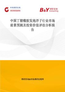 中國丁腈橡膠發泡浮子行業市場前景預測及投資價值評估分析報告