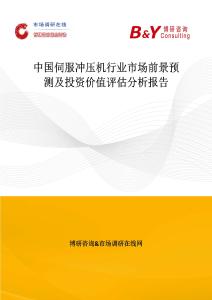 中國伺服沖壓機行業市場前景預測及投資價值評估分析報告