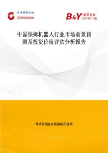 中國保姆機(jī)器人行業(yè)市場前景預(yù)測及投資價(jià)值評(píng)估分析報(bào)告