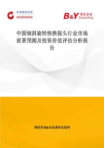 中國傾斜旋轉快換接頭行業市場前景預測及投資價值評估分析報告
