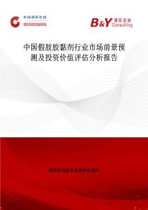 中國假肢膠黏劑行業市場前景預測及投資價值評估分析報告