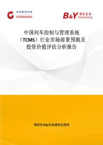 中國列車控制與管理系統（TCMS）行業市場前景預測及投資價值評估分析報告