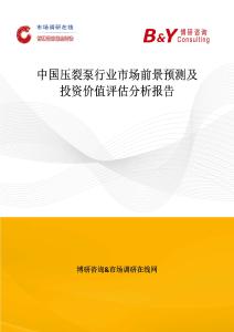 中國壓裂泵行業市場前景預測及投資價值評估分析報告