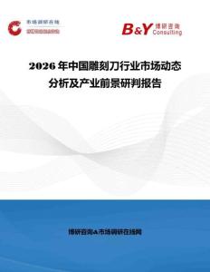 2026年中國雕刻刀行業(yè)市場動(dòng)態(tài)分析及產(chǎn)業(yè)前景研判報(bào)告