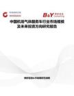 中国机场气体服务车行业市场规模及未来投资方向研究报告