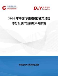 2026年中國(guó)飛機(jī)尾翼行業(yè)市場(chǎng)動(dòng)態(tài)分析及產(chǎn)業(yè)前景研判報(bào)告