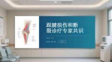 跟腱損傷和斷裂診療專家共識