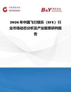2026年中國飛行娛樂（IFE）行業(yè)市場動態(tài)分析及產(chǎn)業(yè)前景研判報告