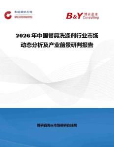 2026年中國餐具洗滌劑行業市場動態分析及產業前景研判報告