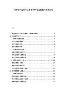 中國(guó)電子支付行業(yè)市場(chǎng)調(diào)研與發(fā)展趨勢(shì)預(yù)測(cè)報(bào)告