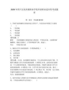 2026年四川文化傳媒職業學院單招職業適應性考試題庫完整參考答案詳解