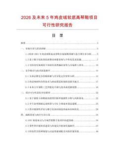 2026及未來(lái)5年雞皮絨軟底高幫鞋項(xiàng)目可行性研究報(bào)告