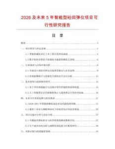 2026及未来5年智能型砼回弹仪项目可行性研究报告