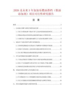 2026及未來5年加加樂燃油搭檔（柴油添加劑）項目可行性研究報告