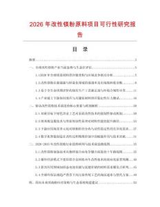 2026年改性鎂粉原料項目可行性研究報告