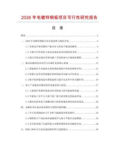 2026年電鍍鋅鋼板項(xiàng)目可行性研究報(bào)告