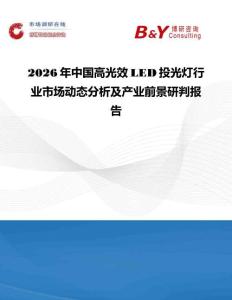 2026年中國高光效LED投光燈行業市場動態分析及產業前景研判報告